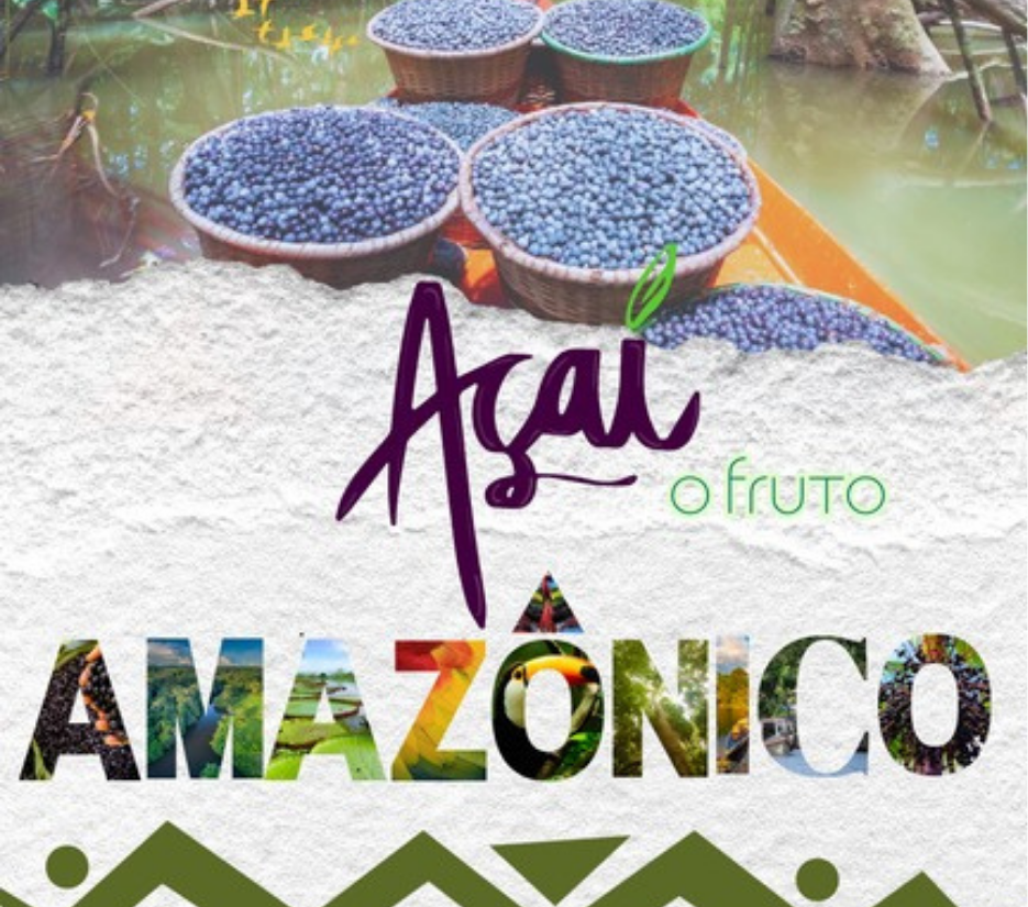 Açaí Amazônico